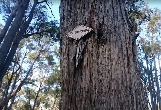 Diamond Confirmation Marker